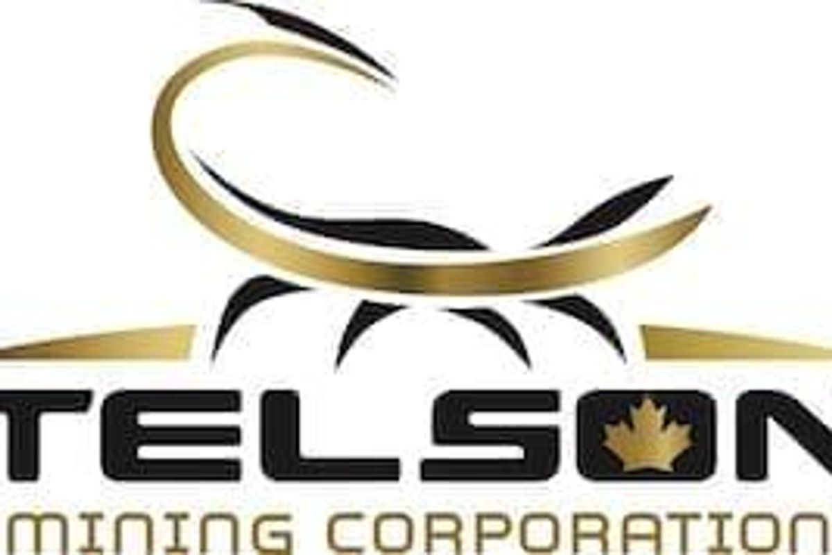 TSXV:TSN
