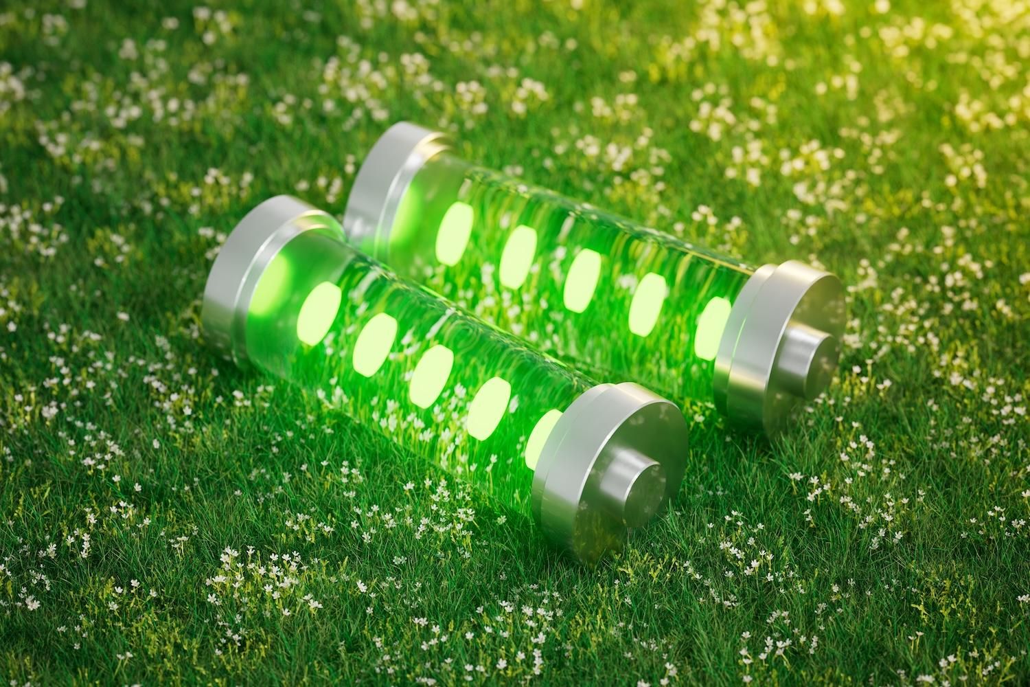 Two glowing green batteries on grass with small white flowers.