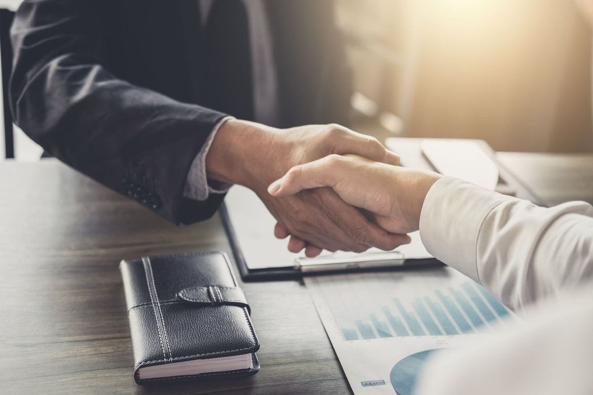 Two people shaking hands.
