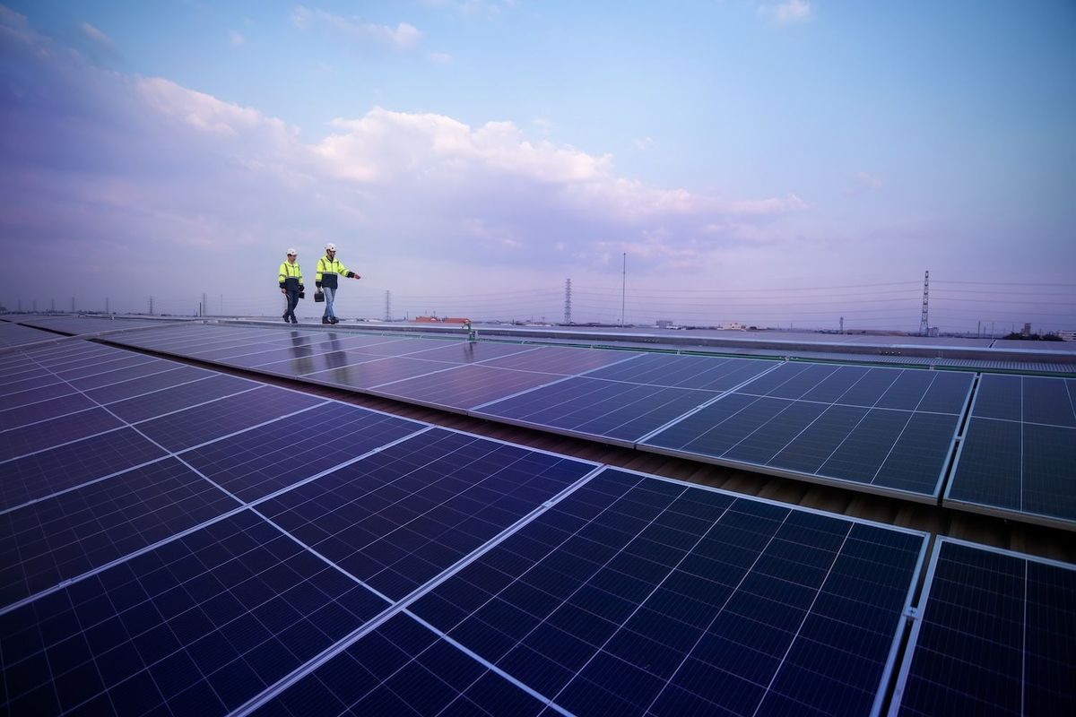 Two workers walk along solar panels.