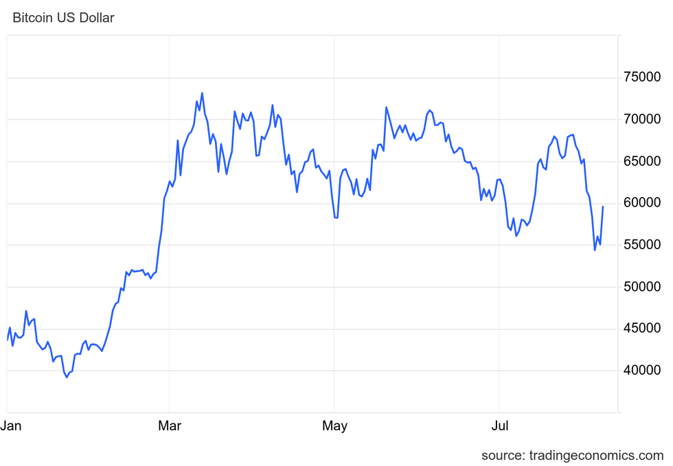 Bitcoin price chart in US dollars from January 1, 2024, until August 8, 2024.