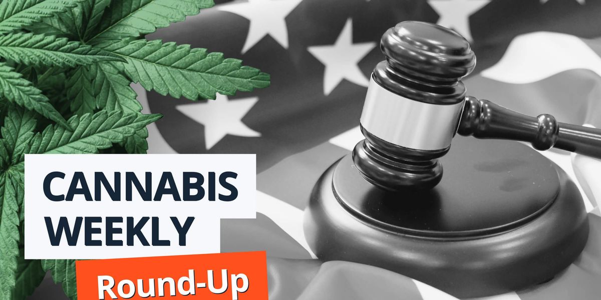 Biden extends hashish pardon, Maryland exceeds expectations Biden extends hashish pardon, Maryland exceeds expectations