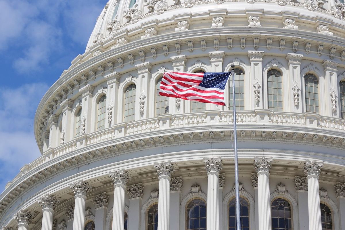US flag in front of the Capitol Building.