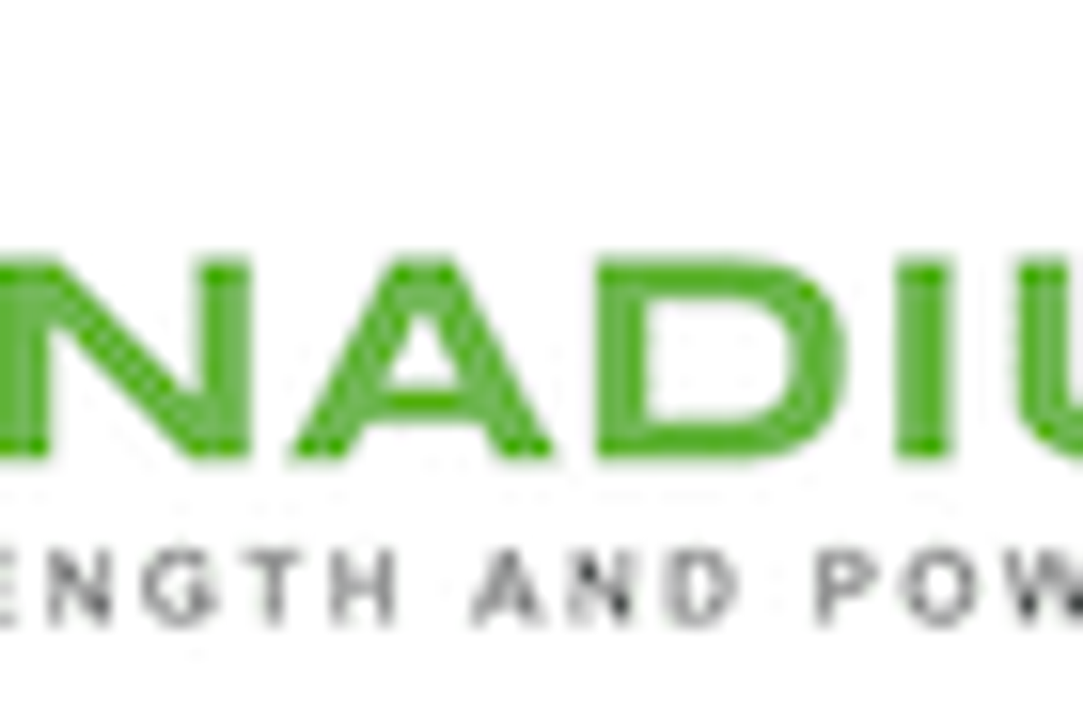 Vanadium Investing