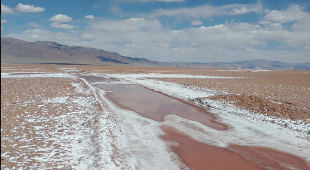 View of American Salar's Salar de Pocitos