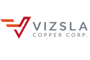 vizsla copper