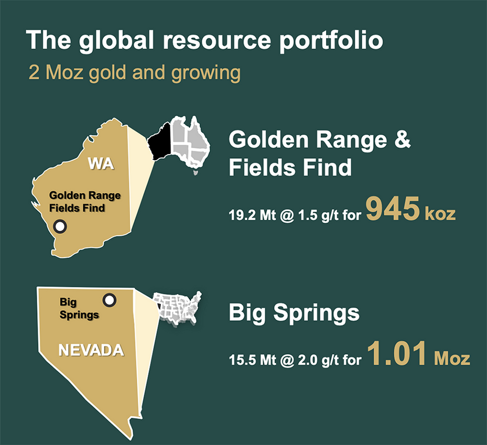 Warriedar Resources' global resource portfolio