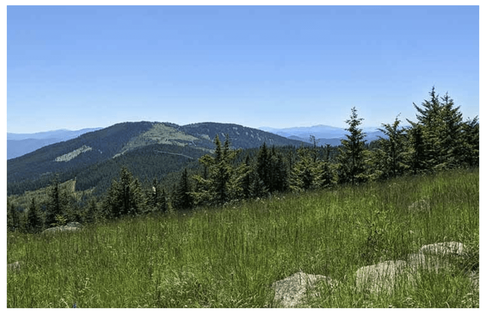 West High Yield's Record Ridge magnesium-silica-nickel-iron project landscape
