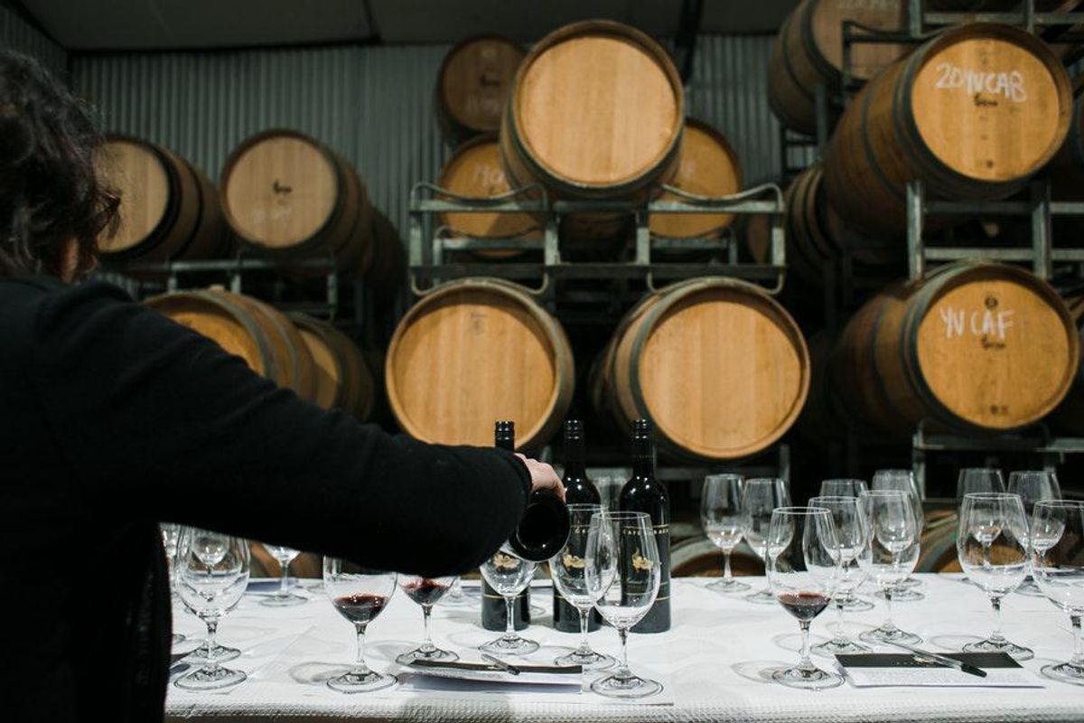 wine tasting at table